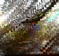 Kinglake National Park