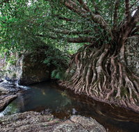 Misty Mountains Wilderness Tracks - Hotel QLD