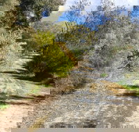 Naracoorte North Nature Park