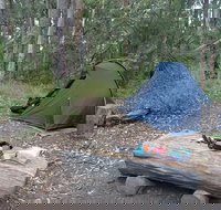 Northbrook Mountain Bush Camp - Hotel QLD