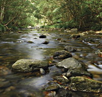 Plateau Circuit Loop Trail - Hotel QLD