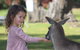 Potoroo Palace Native Animal Sanctuary - thumb 1