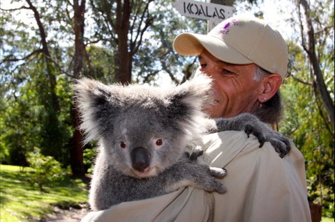 Potoroo Palace Native Animal Sanctuary - Hotel QLD 2