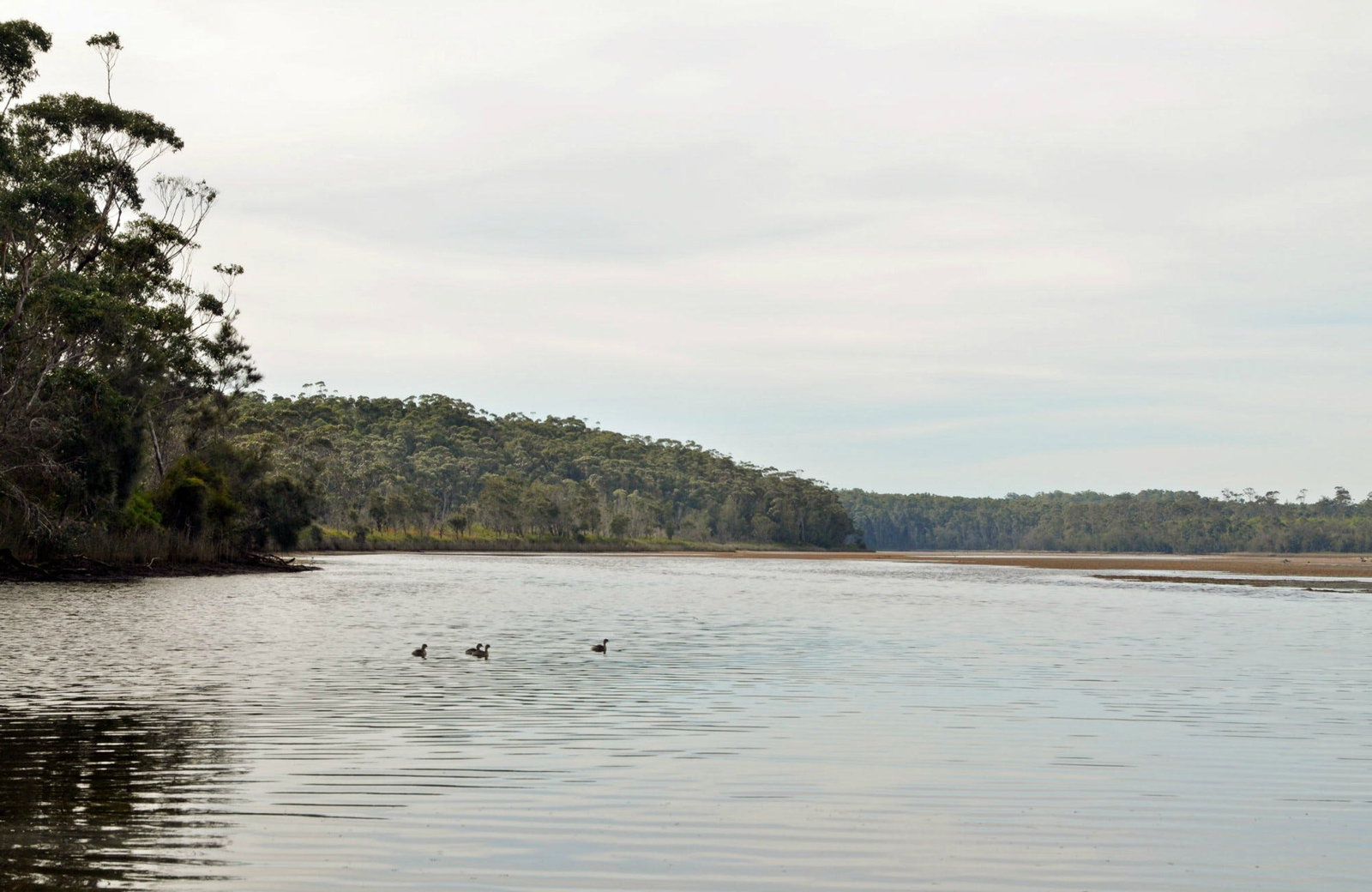 Lake Tabourie NSW Hotel QLD