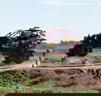 Turbo Buggy Ride - Hotel QLD