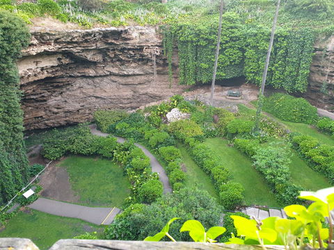 Umpherston Possum Tours - Hotel QLD 2