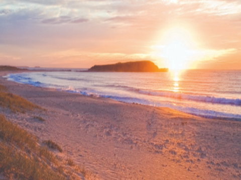 Warilla Beach: Shellharbour - Hotel QLD 0