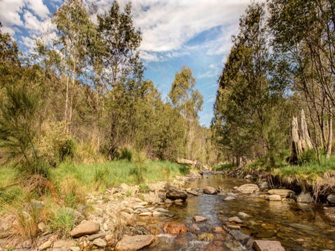 Brindabella National Park - Hotel QLD 2