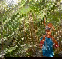 Canungra - Hotel QLD