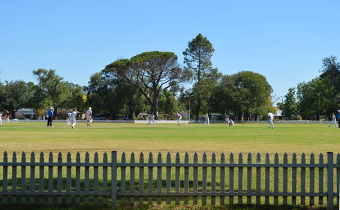 Cootamundra Cricketing Exploration - Hotel QLD 0