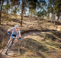 Cycle Mogo State Forest