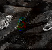 Matthew Ely - Hotel QLD