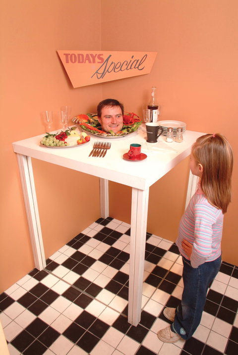 Phillip Island Experience - Hotel QLD 0