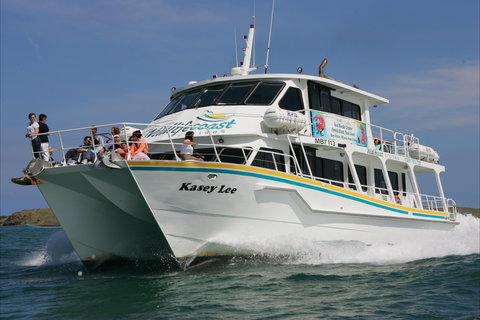 Phillip Island Experience - Hotel QLD 2