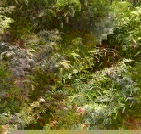 Powder Magazine walking track - Hotel QLD