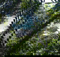 Rainforest Walking Track Hat Head National Park - Hotel QLD