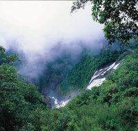 Tully Falls and Tully Gorge - Hotel QLD