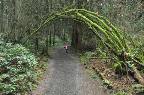 Bridle Trail - Hotel QLD 0