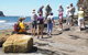 Gondwana Coast Fossil Walk - thumb 0