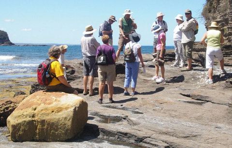 Gondwana Coast Fossil Walk - Hotel QLD 0