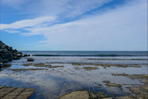 Gondwana Coast Fossil Walk - Hotel QLD 1