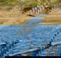 Groper Creek - Hotel QLD