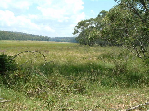 Hume And Hovell Walking Track - Hotel QLD 2