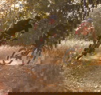 Kholo Gardens Trails - Hotel QLD