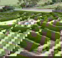 Mintaro Maze - Hotel QLD