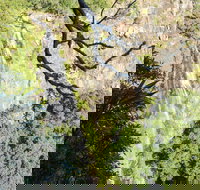 Morans Falls track Lamington National Park - Hotel QLD