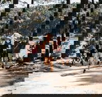 Myponga Reservoir Trail