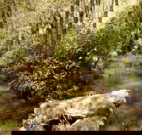 Sandy Creek Track - Hotel QLD