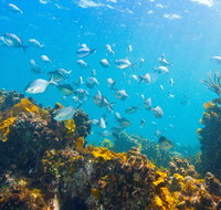 Snorkelling McKenzies Beach