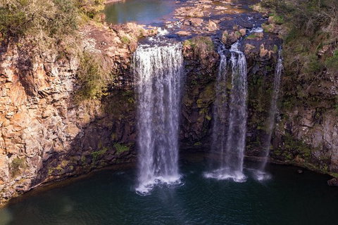 Rainforest & Waterfall Experience - Hotel QLD 1