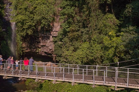 Rainforest & Waterfall Experience - Hotel QLD 4