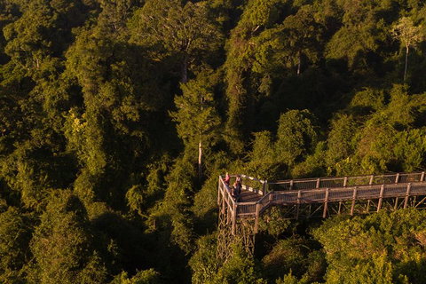 Rainforest & Waterfall Experience - Hotel QLD 5