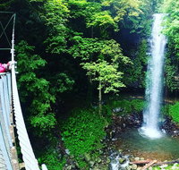 Rainforest  Waterfall Experience