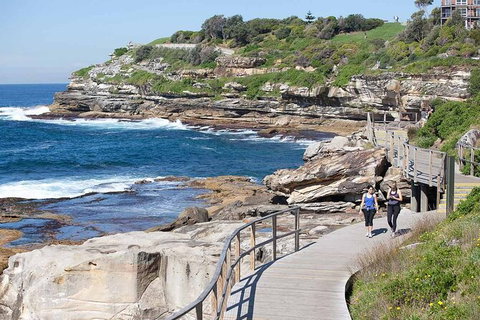 Kickstart Sydney Half-Day Tour - Hotel QLD 5