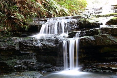 Private 10-hour Tour To Blue Mountains From Sydney - Hotel Pick Up & Drop Off - Hotel QLD 6