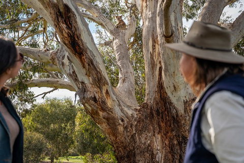 NEW TOUR - Kangaroo Island Road To Recovery Tour (1 Day/1 Night) - Hotel QLD 2