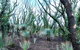 NEW TOUR - Kangaroo Island Road To Recovery Tour (1 Day/1 Night) - thumb 4