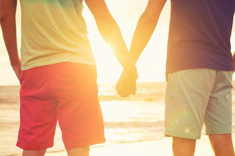 LGBT+ Friendly Full Day Phillip Island Private Tour - Hotel QLD 3