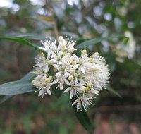 Booderee National Park - Hotel QLD