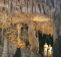 Mammoth Cave - Hotel QLD
