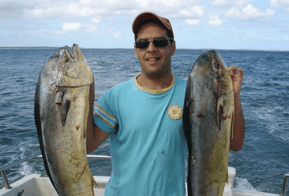 Jervis Bay Fishing and Charters - Hotel QLD