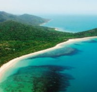 Jungle Tours and Trekking
