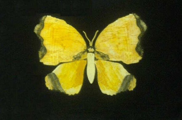 Carstairs QLD Hotel QLD