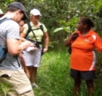 Ingan Tours - Spirit of the Rainforest Tour - Hotel QLD