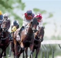 Colac Turf Club - Hotel QLD