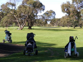 Minlaton Golf Club - Hotel QLD 3